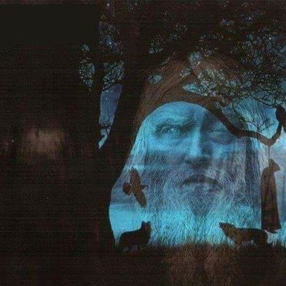 Meet your Posher, Alex - Picture 1 of 1